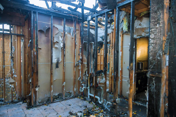 Professional Smoke Damage Removal technician working in Alva, FL