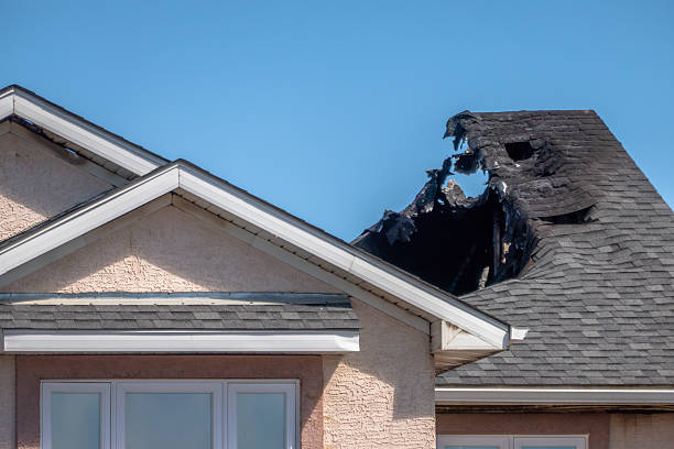 Top rated local Smoke Damage Removal specialists in Alva, FL